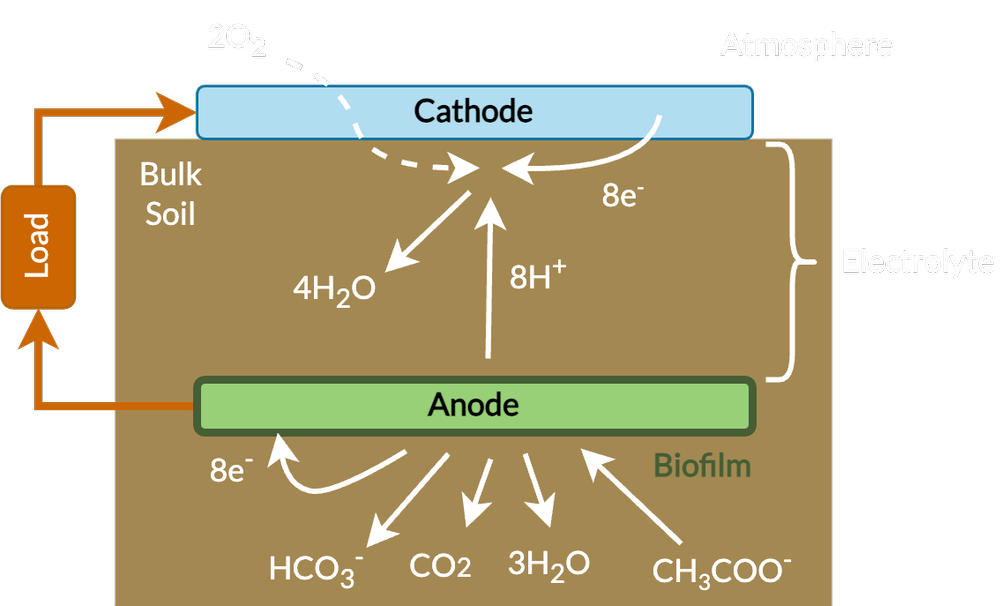 Diagram of the soil microbial fuel cell's electrochemistry, showing the cathode, anode, and biofilm reactions