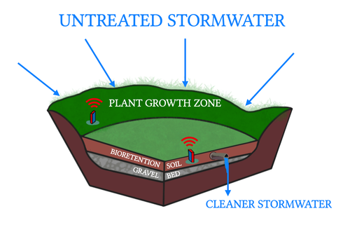 Diagram of stormwater filtering through a bioretention planter